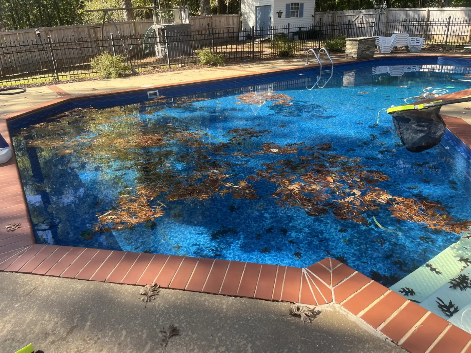 Pool full of leaves before cleaning