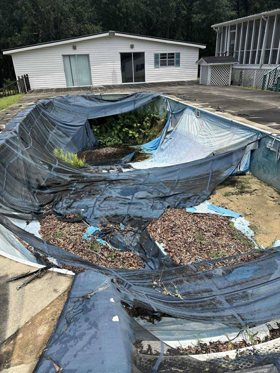 Oval Pool with a New Navarre Liner – before