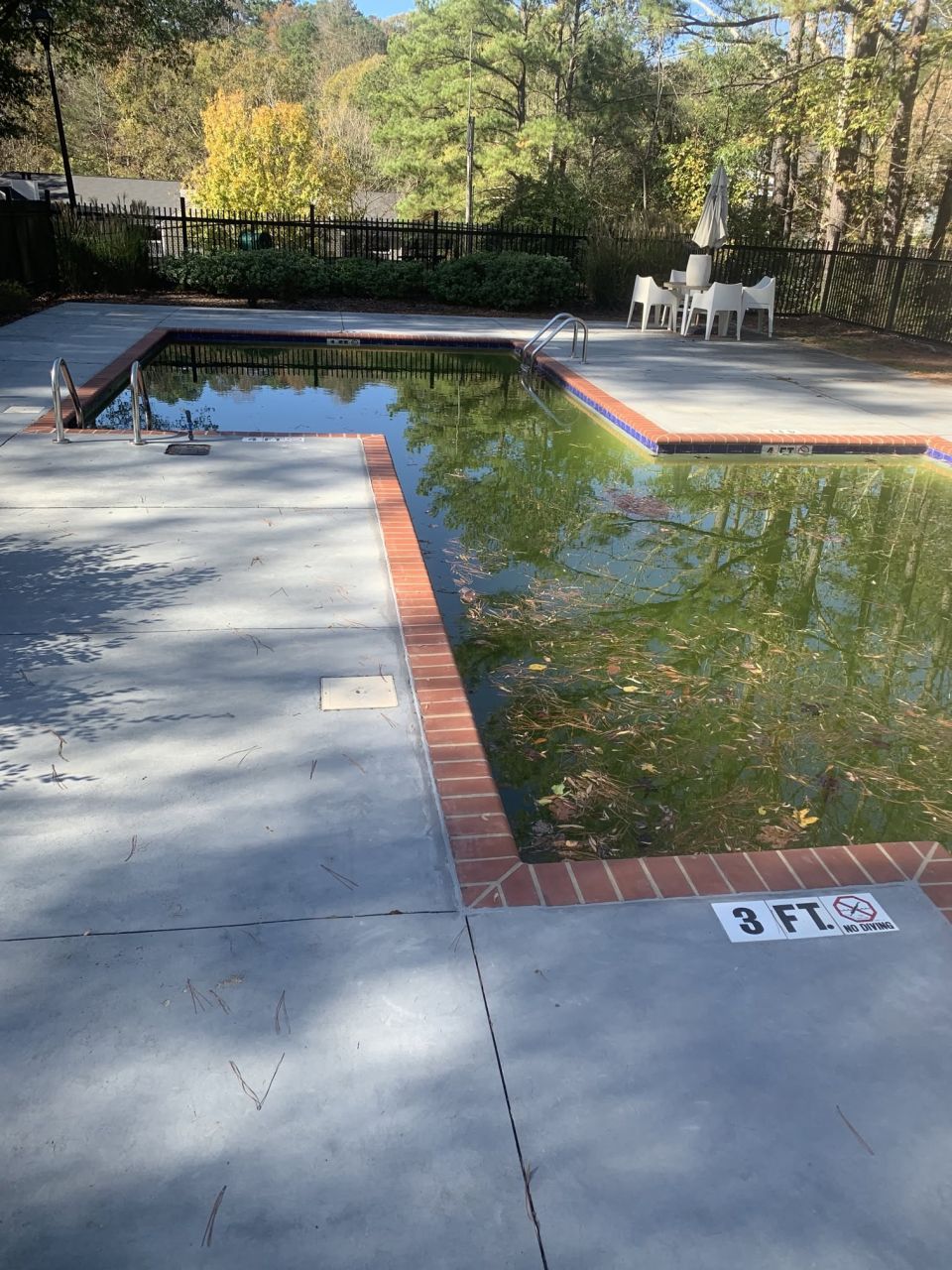 Green to Clean: Spring Cleanups