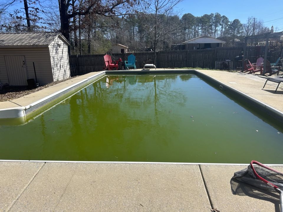 Green to Clean: Spring Cleanups